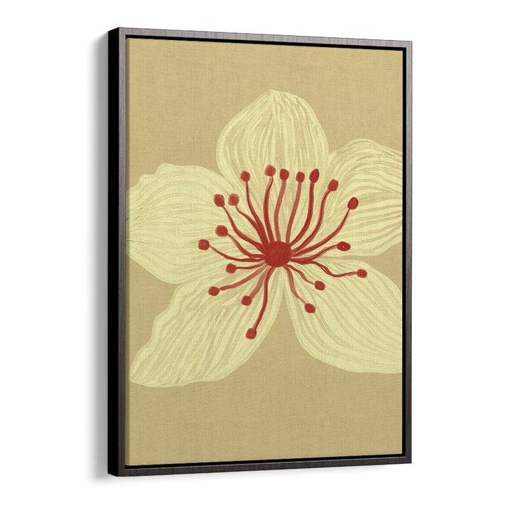 SOFT CREAM BLOSSOM