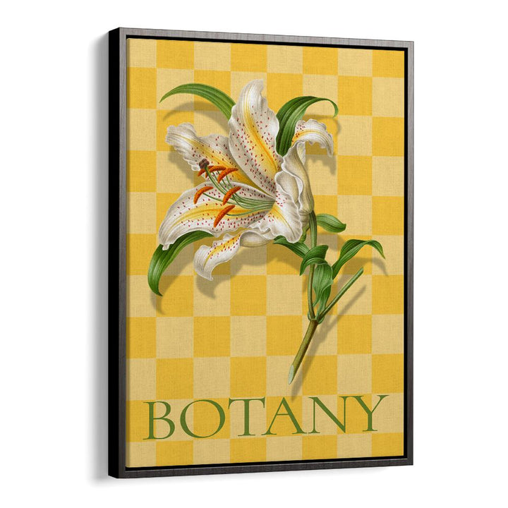 SPOTTED LILY BOTANICAL