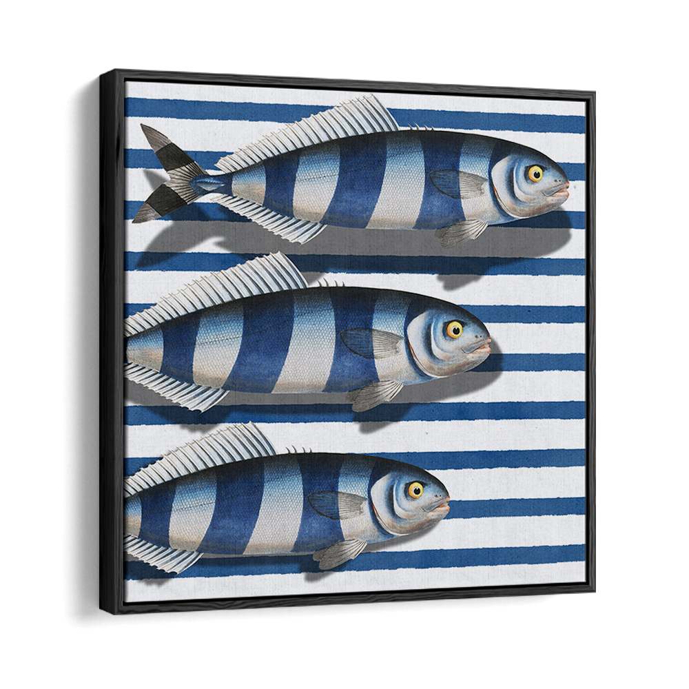 STRIPED OCEAN FISH