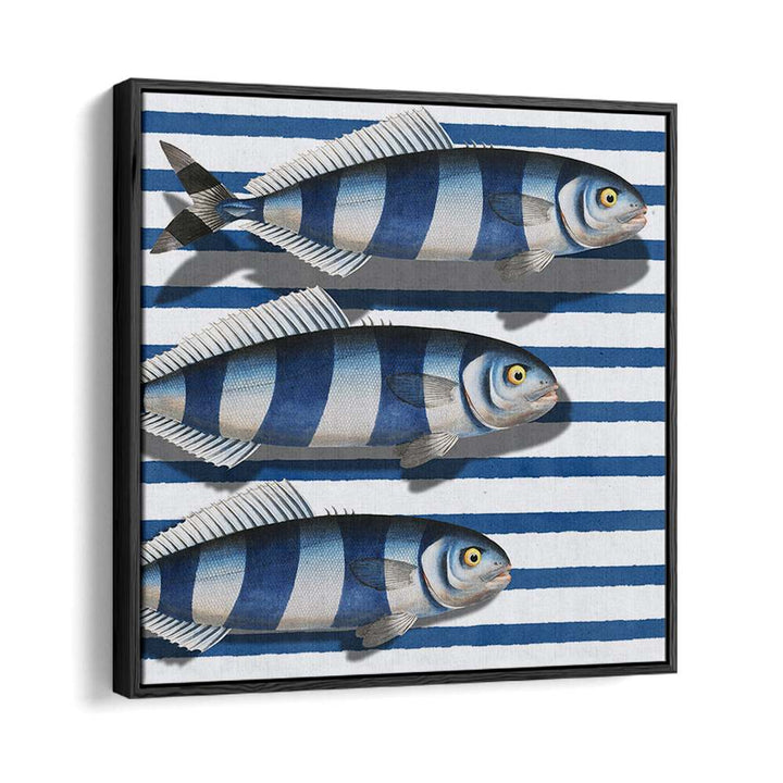 STRIPED OCEAN FISH