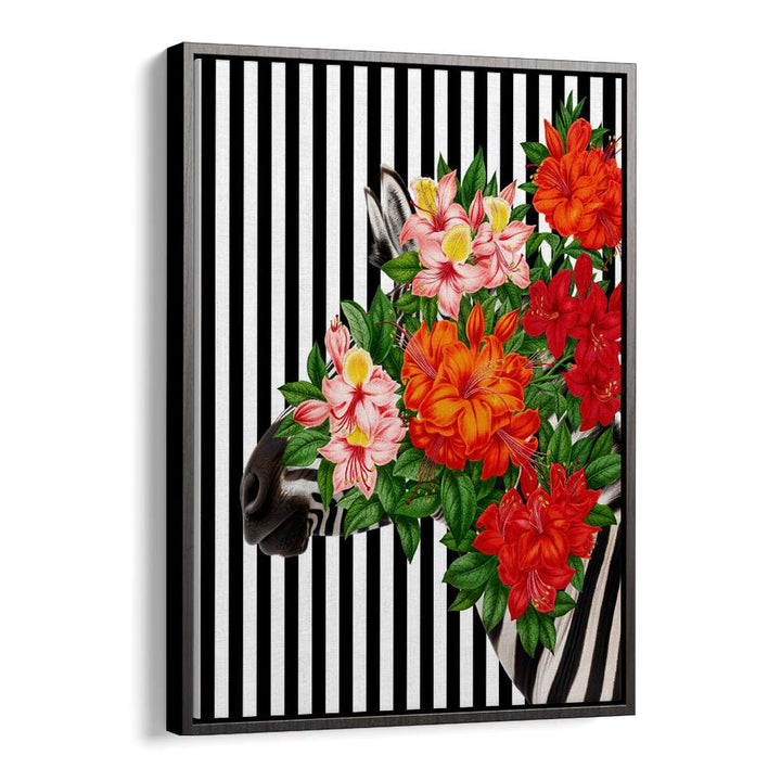 TROPICAL ZEBRA BLOOM