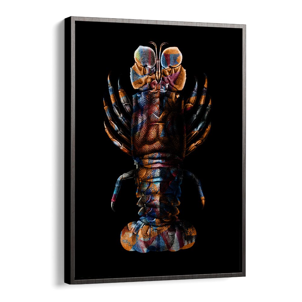 VIBRANT SPINY LOBSTER