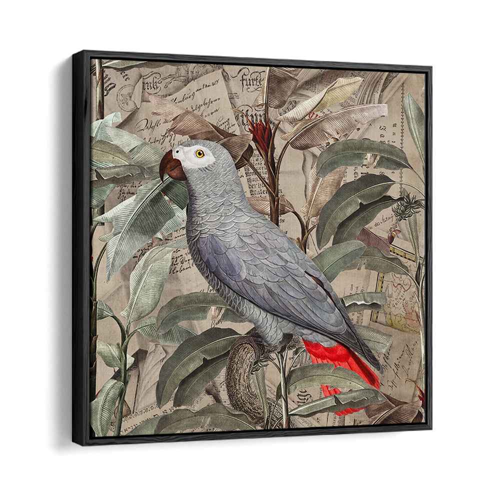 VINTAGE TROPICAL GREY PARROT