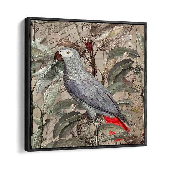 VINTAGE TROPICAL GREY PARROT