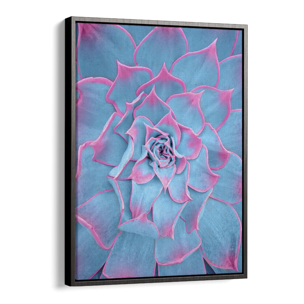 surreal painting - BLUE AND PINK SUCCULENT by Asianmonk