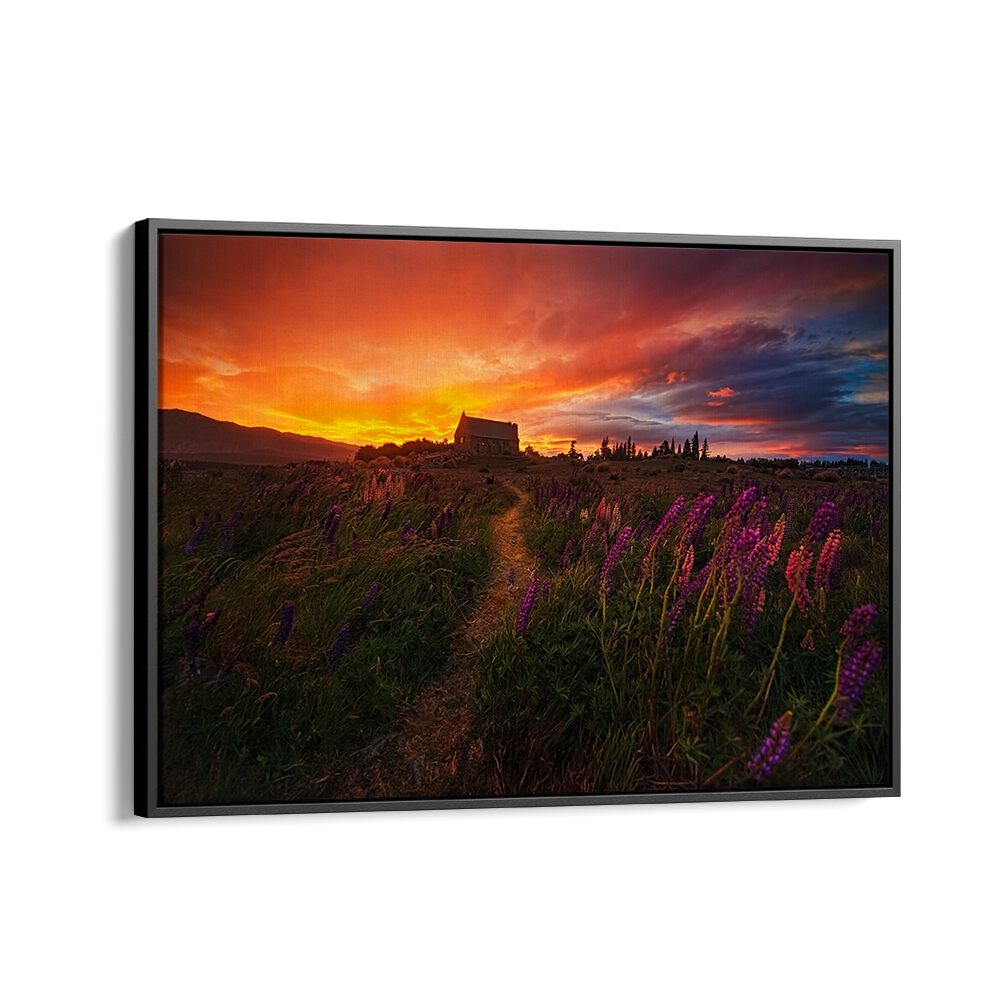 Stunning sunset over a path and flowers, showcasing IN THE WIND, PHOTOGRAPHY PRINTS to elevate your space.