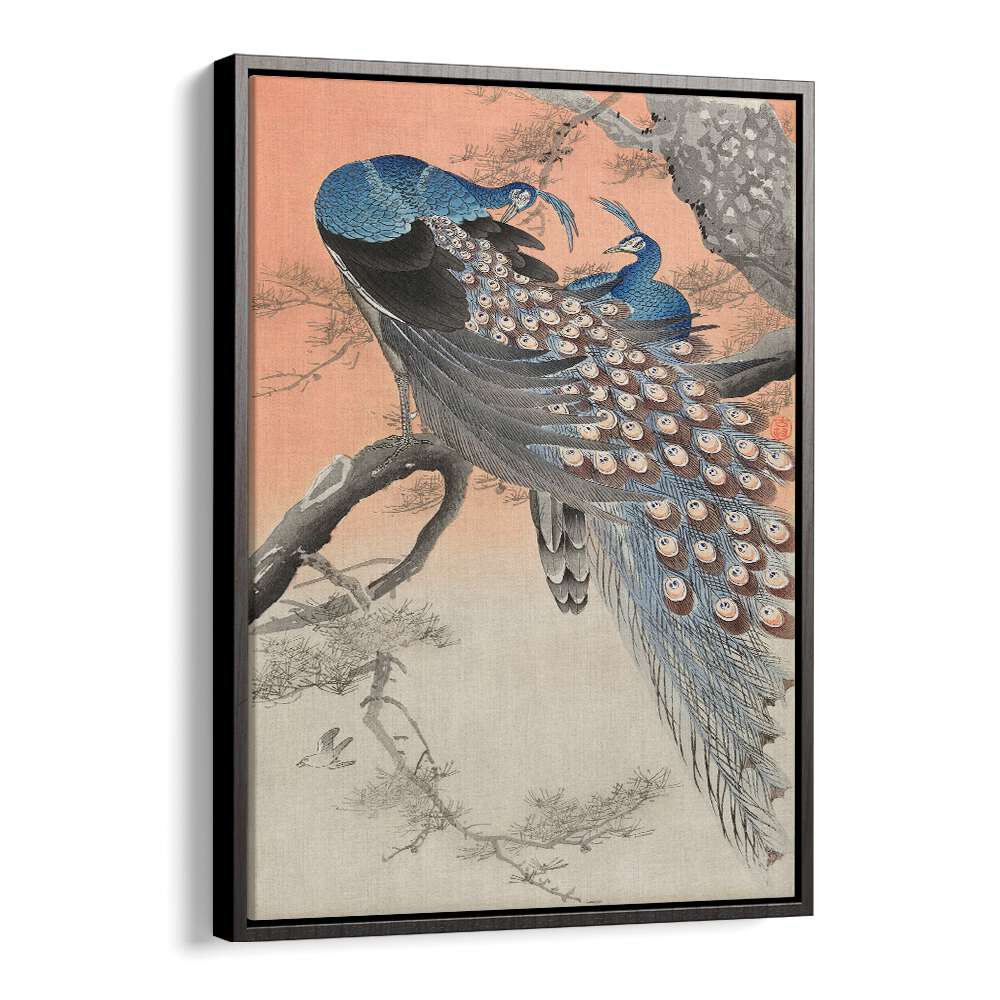 TWO PEACOCKS ON TREE BRANCH (1900 - 1930) , JAPANESE PAINTINGS , JAPANESE ART PRINTS