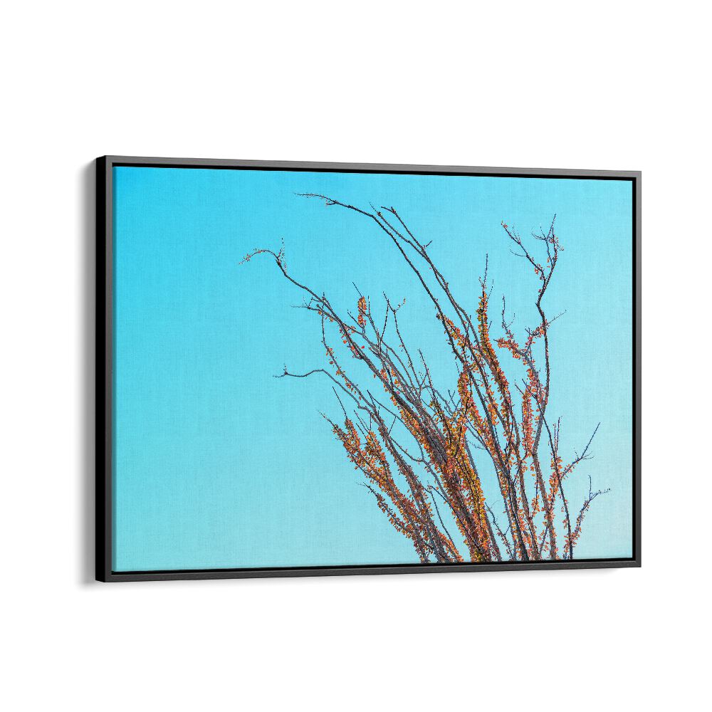 ABSTRACT painting - OCOTILLO IN THE FALL by Asianmonk