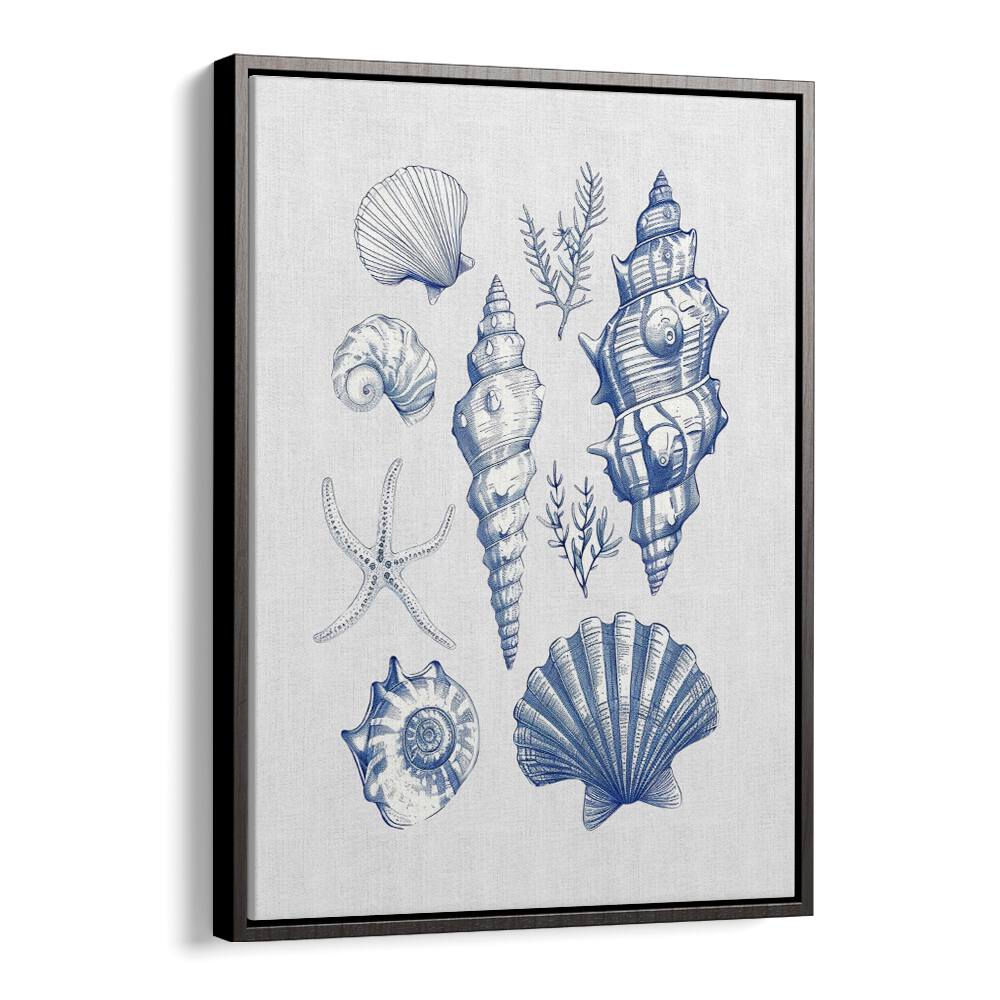 Beautiful SHELL COLLAGE, BEACH PAINTINGS featuring vibrant seashells, perfect for a coastal home decor transformation.