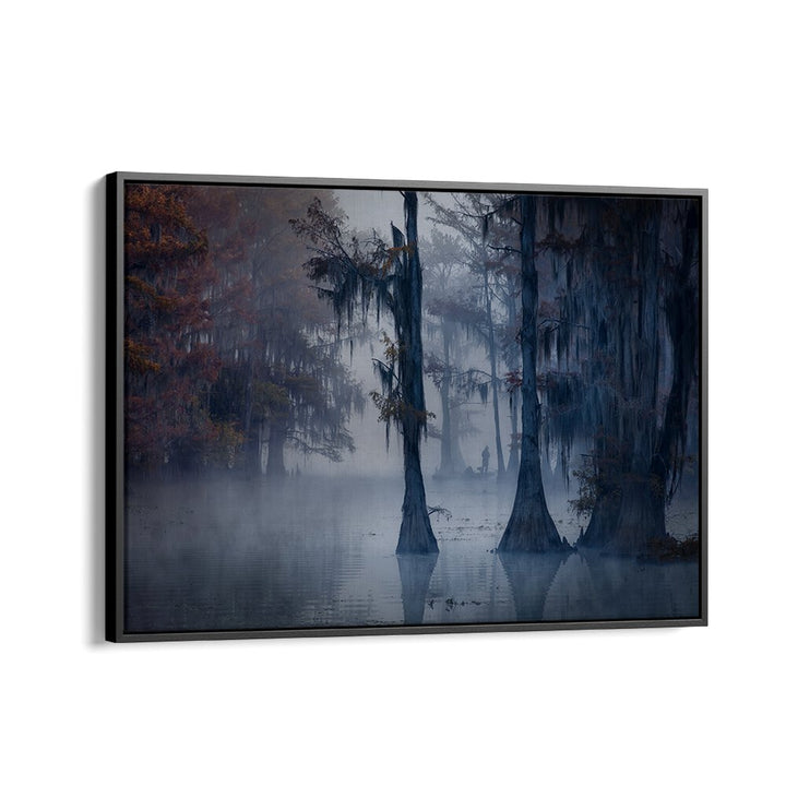 HAUNTED FOREST BY MICHAEL ZHENG , LANDSCAPE PHOTO PRINTS