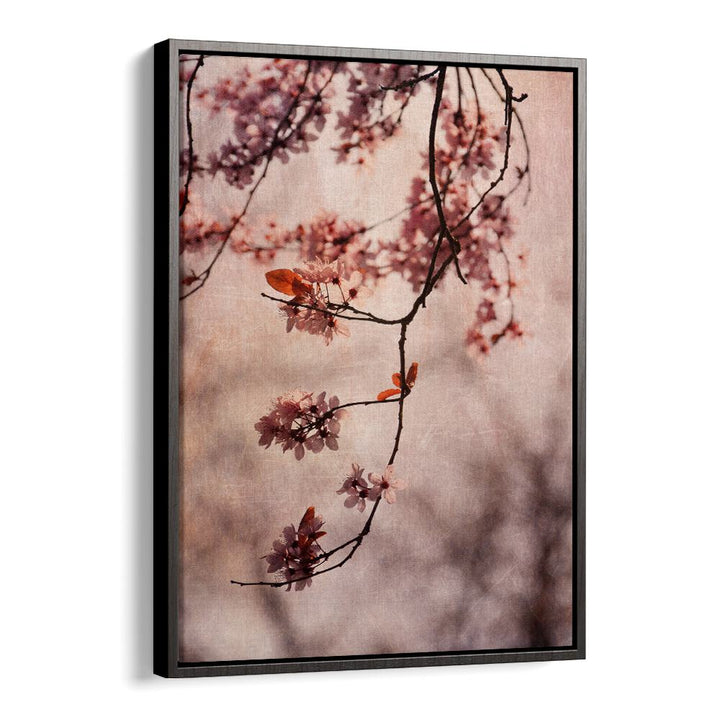 Delicate cherry blossoms in bloom from the Vintage Pink Floral Flower Paintings, perfect for any serene space.