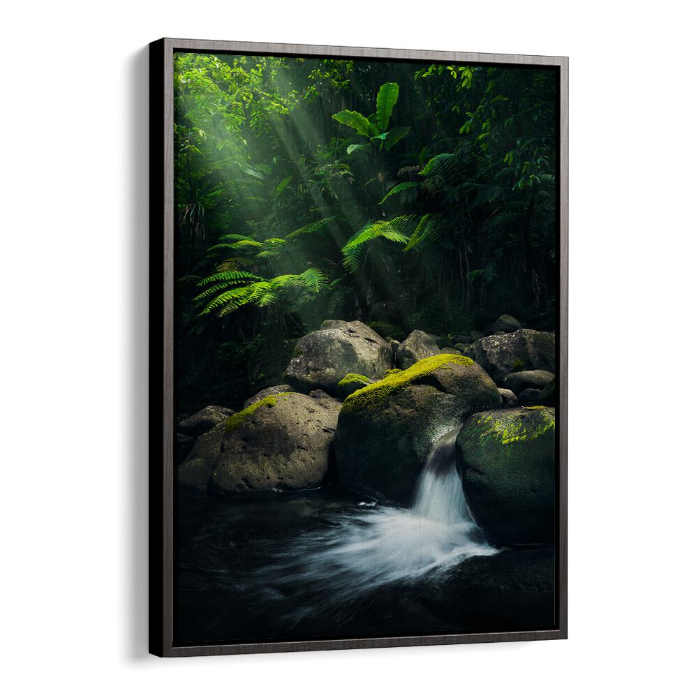 MYSTIC JUNGLE BY STEFAN HEFELE , LANDSCAPE PHOTO PRINTS