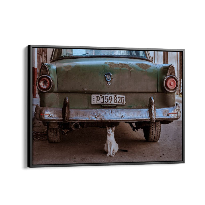 ABSTRACT painting - CUBAN CAT WITH CAR by Asianmonk