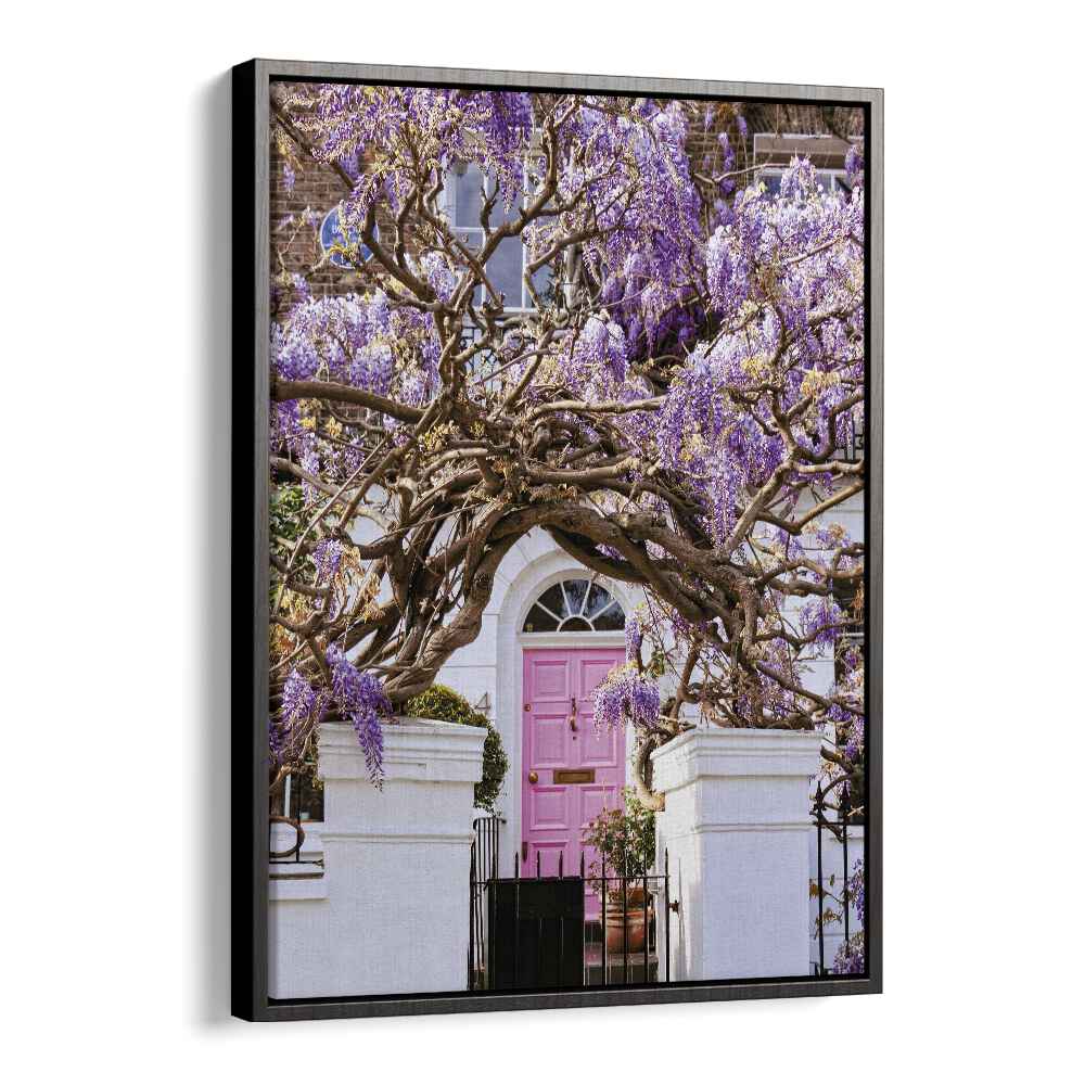 WISTERIA DREAMS , STREET PHOTOGRAPHY ART PRINTS