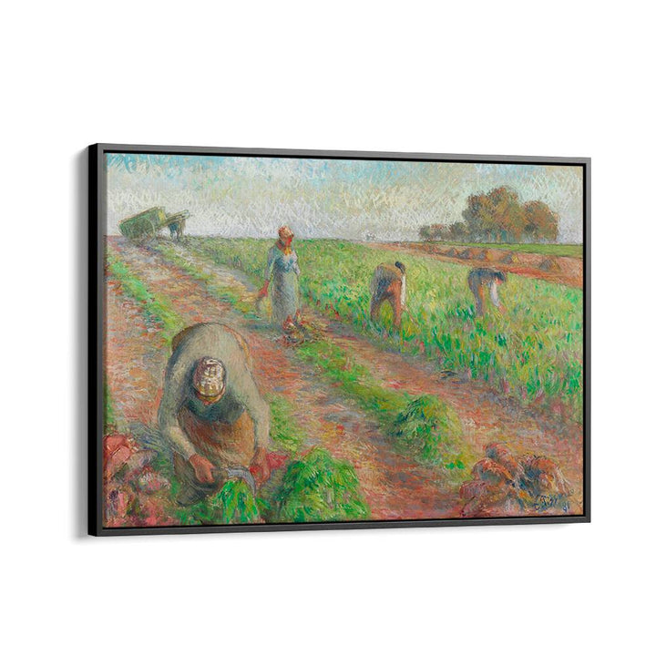 THE BEET HARVEST (1881)  , VINTAGE PAINTINGS