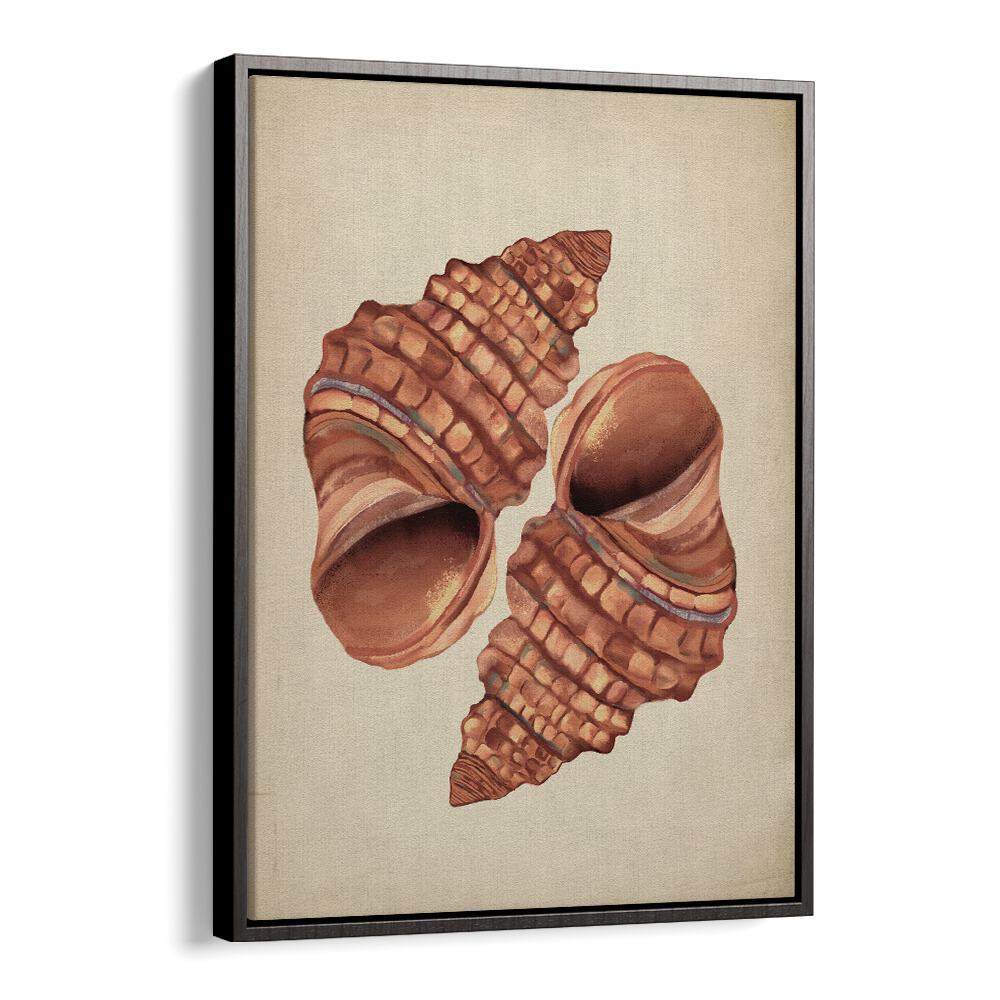 Seashell Vintage, Beach Paintings showcase beautiful conch shells, adding coastal charm to your home décor.