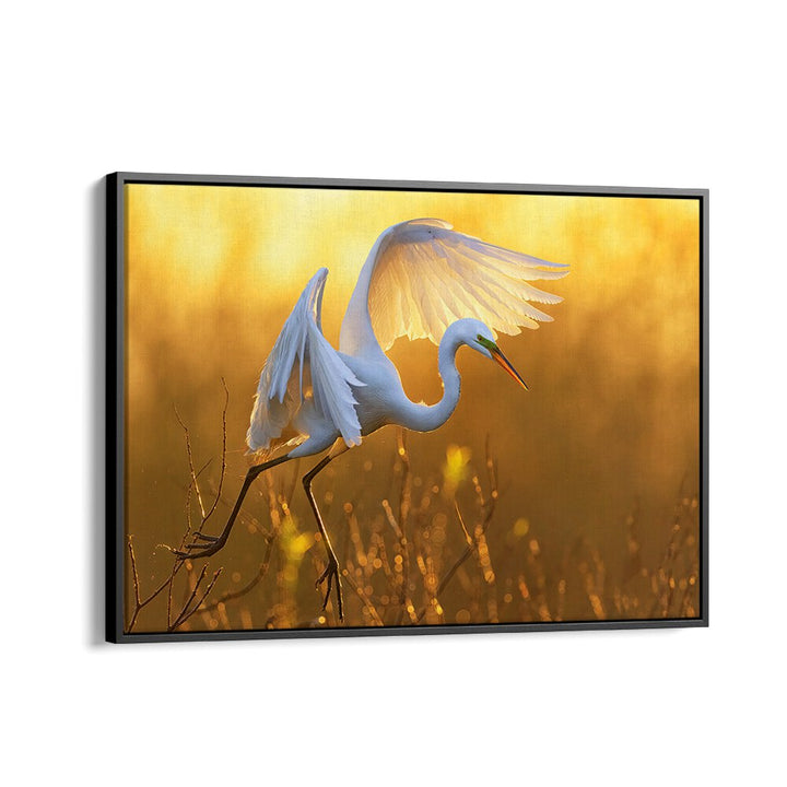 MORNING EGRET BY MICHAEL ZHENG , LANDSCAPE PHOTO PRINTS