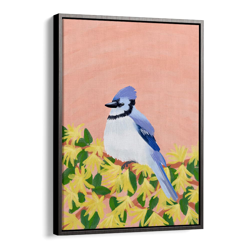 BLUE JAY BIRD , WILDLIFE PAINTINGS , WILDLIFE POSTERS