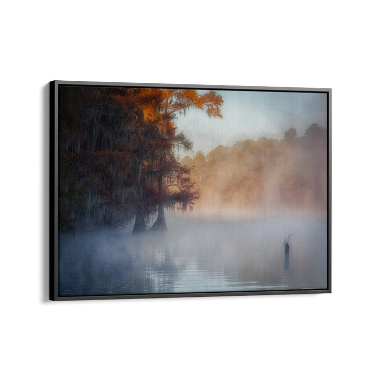 A TRANQUIL MORNING AT CADDO LAKE BY MICHAEL ZHENG , LANDSCAPE PHOTO PRINTS