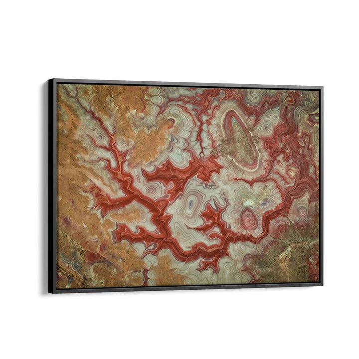 Stunning RED DRAGON OF THE BADLANDS, PHOTOGRAPHY PRINTS, capturing nature's beauty and the spirit of the Badlands.