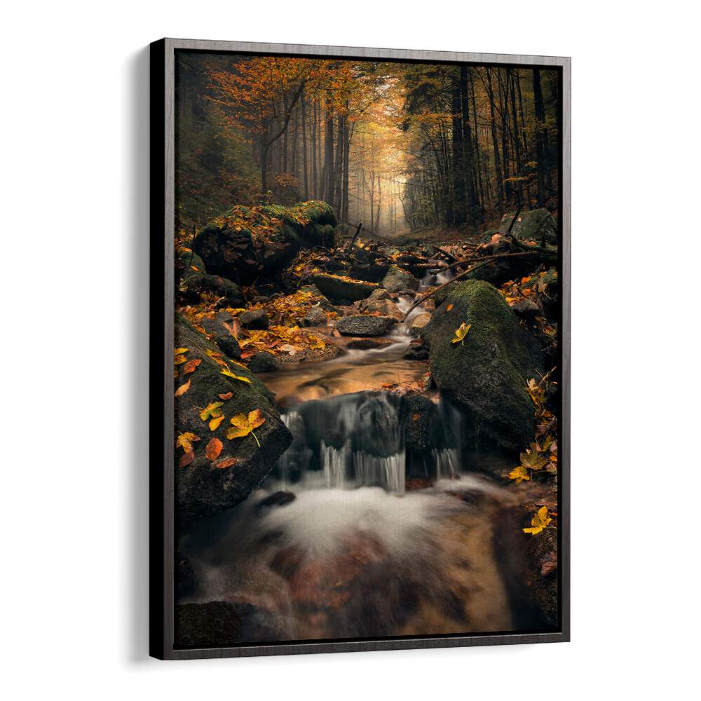 DREAMY AUTUMN BY STEFAN HEFELE , LANDSCAPE PHOTO PRINTS