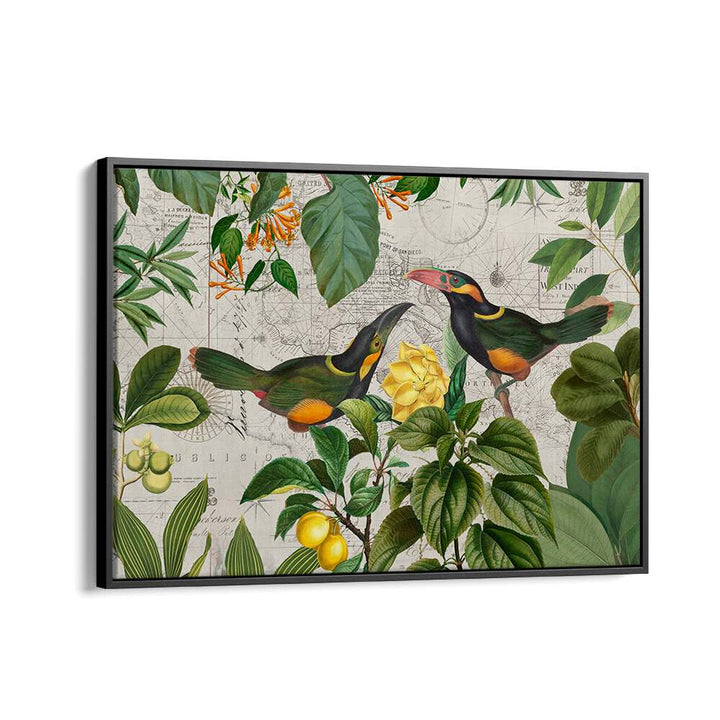 PARROTS NOSTALGIC JOURNEY II BY ANDREA HAASE , WILDLIFE POSTERS, WILDLIFE PAINTINGS