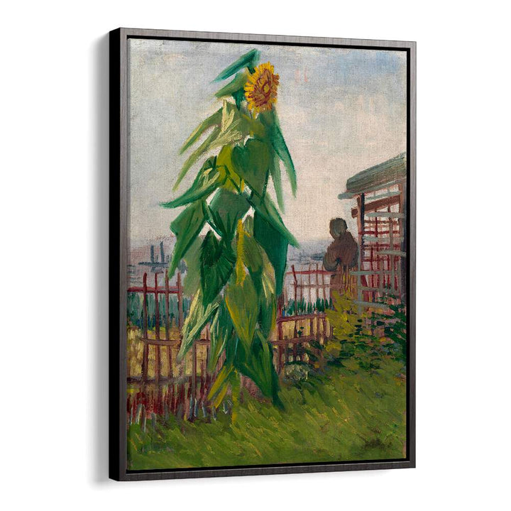 VINCENT VAN GOGH'S ALLOTMENT WITH SUNFLOWER (1887) ,  VINTAGE PAINTINGS