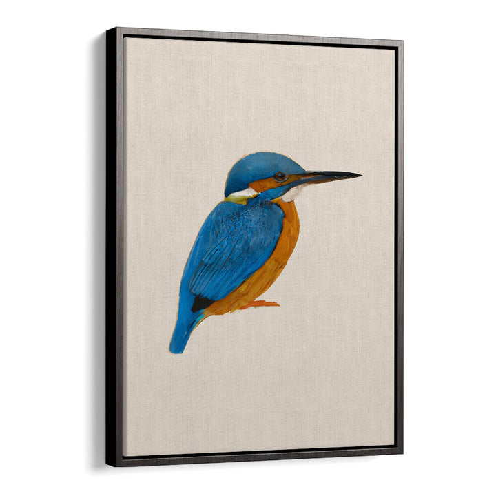 RAINFOREST REBEL , ANIMAL PAINTINGS showcase vibrant blue and orange kingfisher bird art on a natural linen canvas by Black Floater.