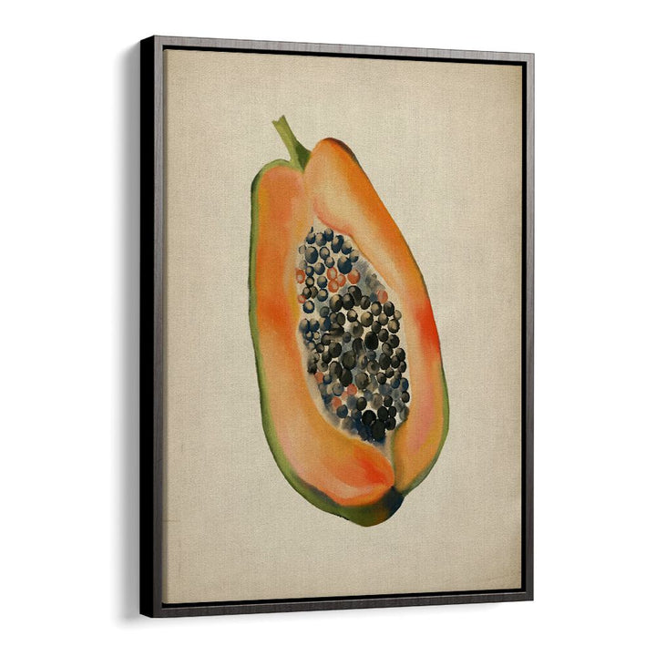 VINTAGE FRUIT- PAPAYA, KITCHEN POSTERS showcase a vibrant papaya, adding tropical charm to your kitchen decor.