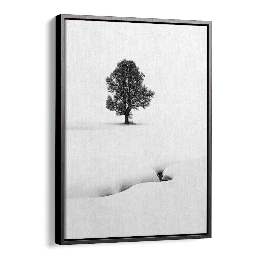 LE SOLITAIRE BY MARC PELISSIER , LANDSCAPE PHOTO PRINTS