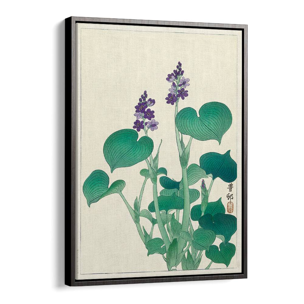 BLOOMING HOSTA (1920 - 1930)  , JAPANESE PAINTINGS , JAPANESE ART PRINTS