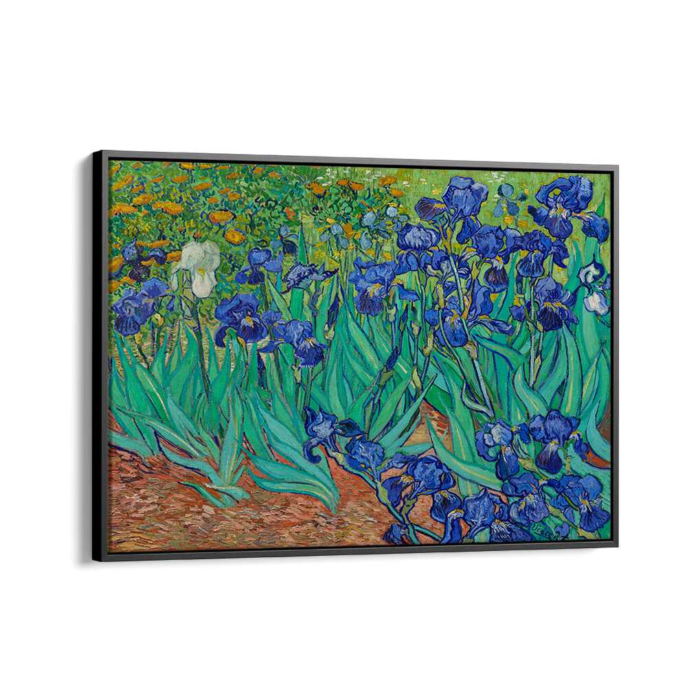 VINCENT VAN GOGH'S IRISES (1889) , VINTAGE PAINTINGS