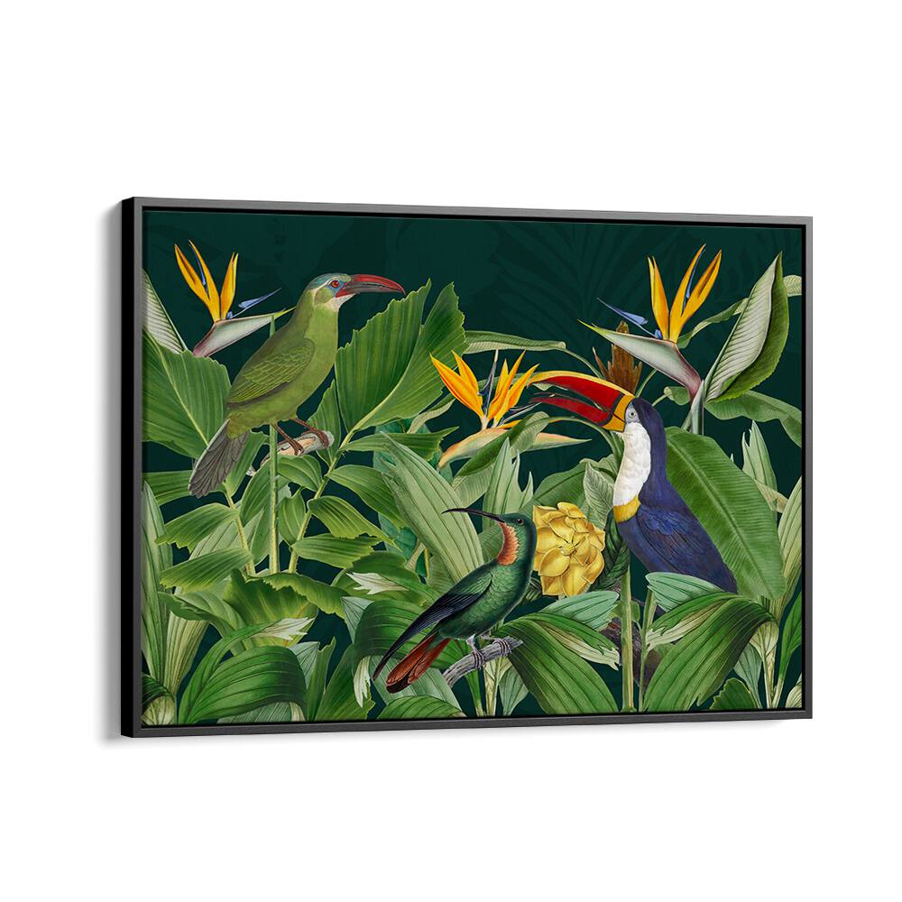 RAINFOREST BIRDS BY ANDREA HAASE , WILDLIFE POSTERS, WILDLIFE PAINTINGS