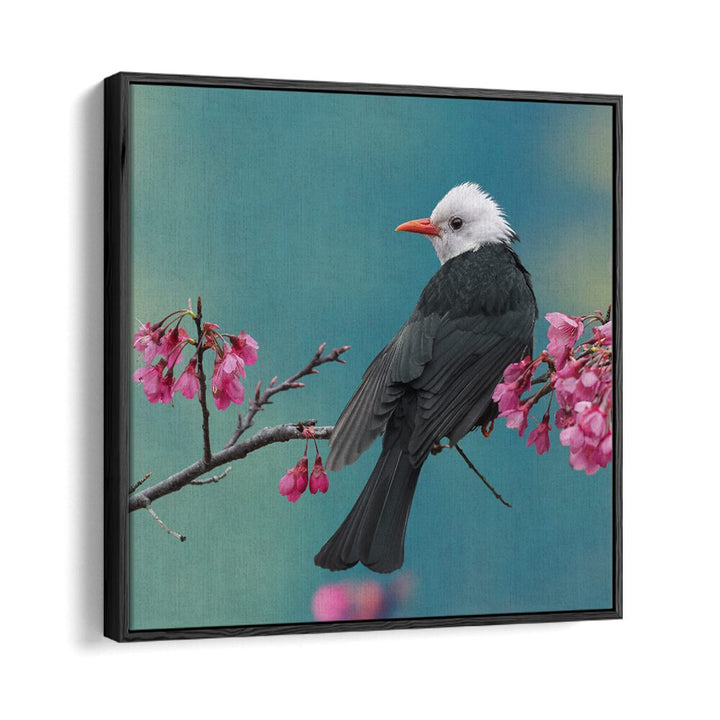 surreal painting - WHITE-HEADED BLACK BULBUL by Asianmonk