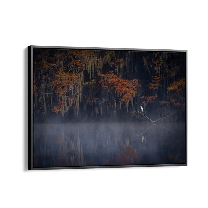 Serene "Misty Morning" photography prints showcasing tranquil fog over water and autumn foliage. Perfect for nature lovers.