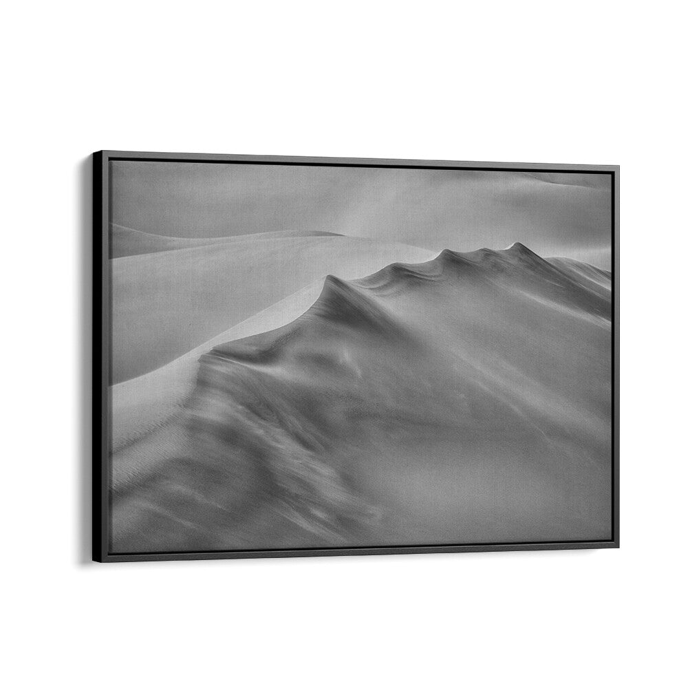 Stunning BLOWING SAND, PHOTOGRAPHY PRINTS showcase the dynamic beauty of nature in elegant black and white.