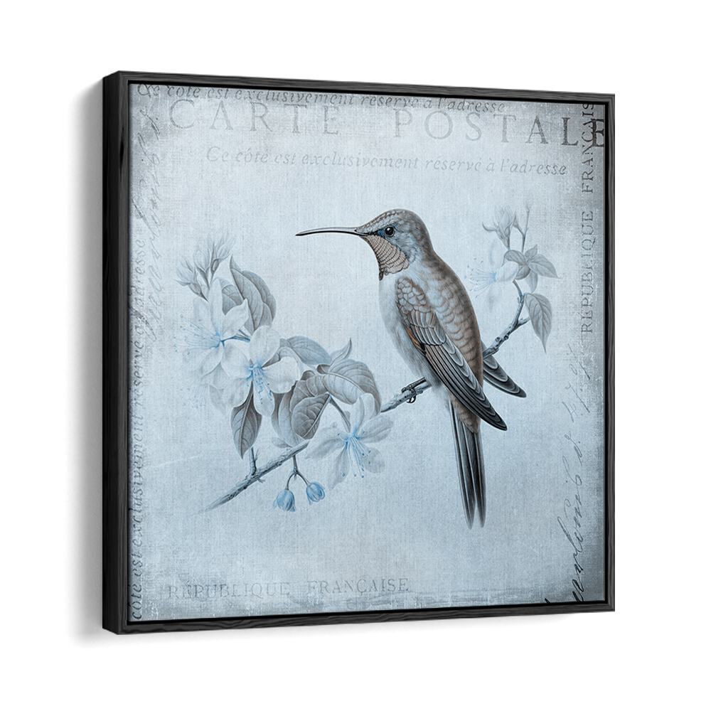 HUMMINGBIRD  ROMANCE AQUA BLUE BY ANDREA HAASE , WILDLIFE POSTERS, WILDLIFE PAINTINGS