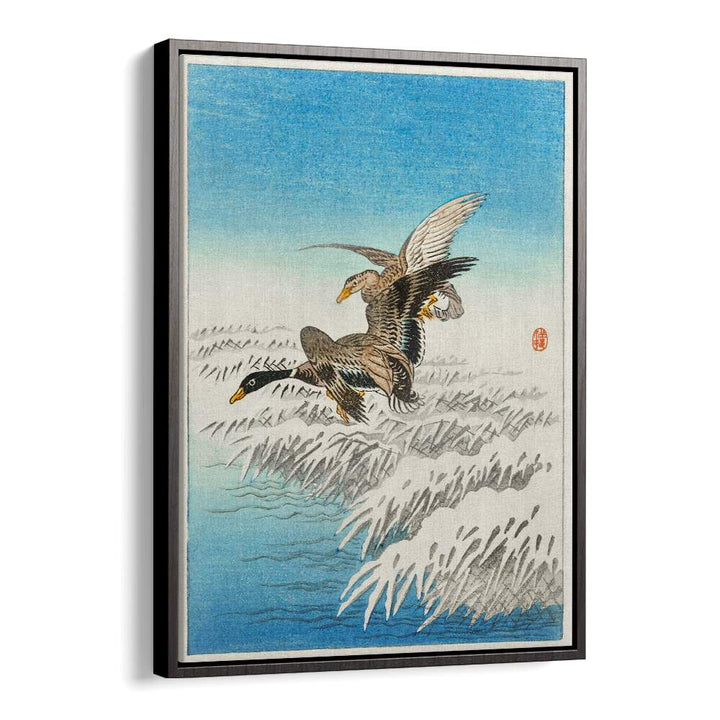 PAIR OF DUCKS FLYING OVER SNOWY REED COLLAR (1900 - 1945) , JAPANESE PAINTINGS , JAPANESE ART PRINTS