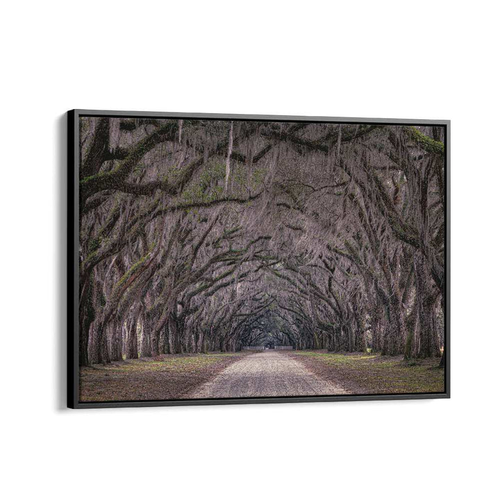 ABSTRACT painting - OAKS AVENUE by Asianmonk