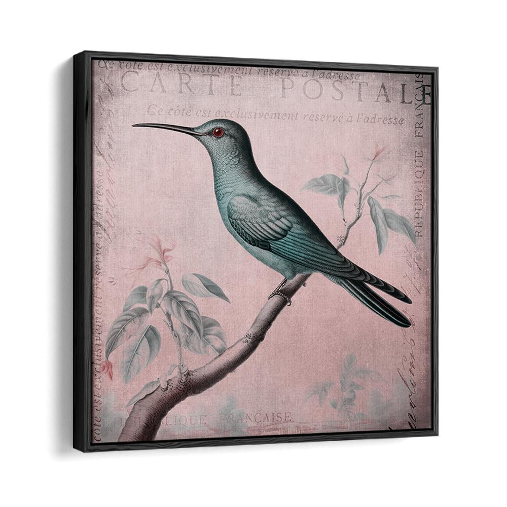 HUMMINGBIRD ROMANCE PASTEL PINK II BY ANDREA HAASE , WILDLIFE POSTERS, WILDLIFE PAINTINGS