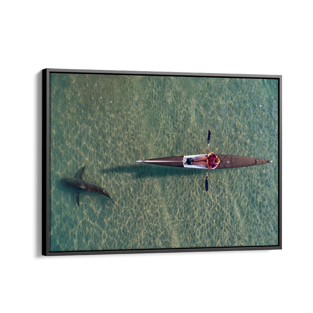 PHOTOGRAPHY painting - SHARK KAYAKING BY IDO MEIROVICH by Asianmonk