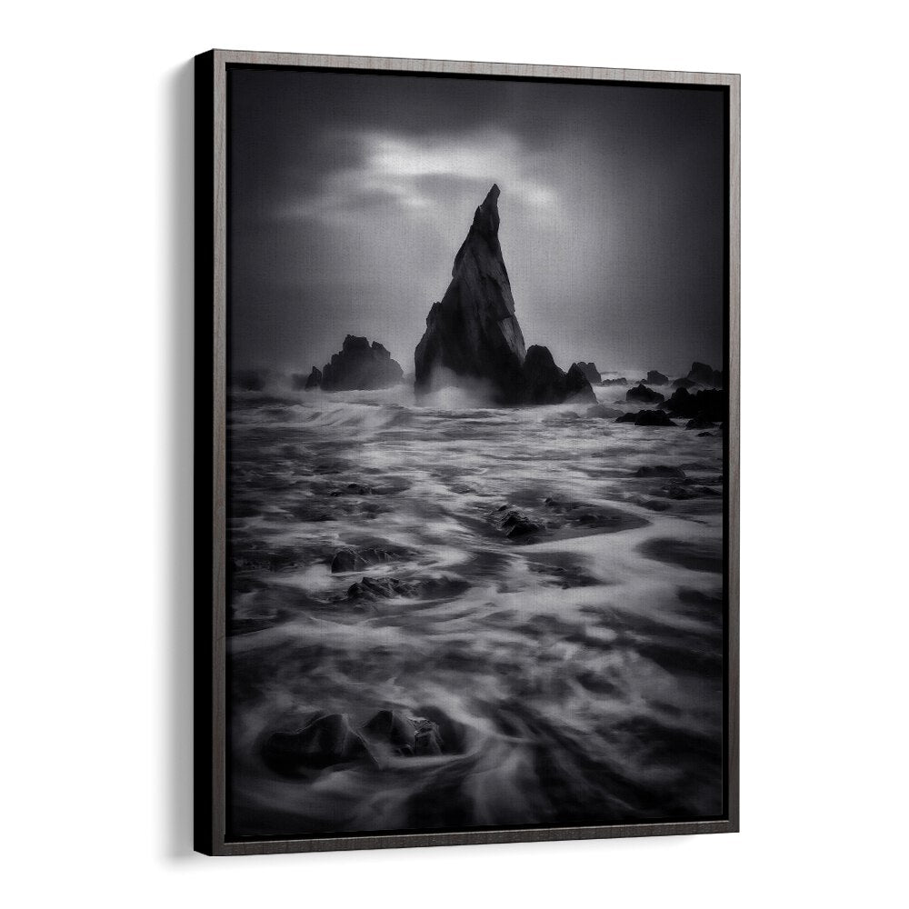 WEST COAST OF NEW ZEALAND , LANDSCAPE PHOTO PRINTS