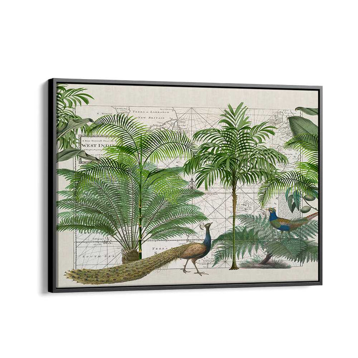 TROPICAL EMPIRE VI BY ANDREA HAASE , WILDLIFE POSTERS , WILDLIFE PAINTINGS