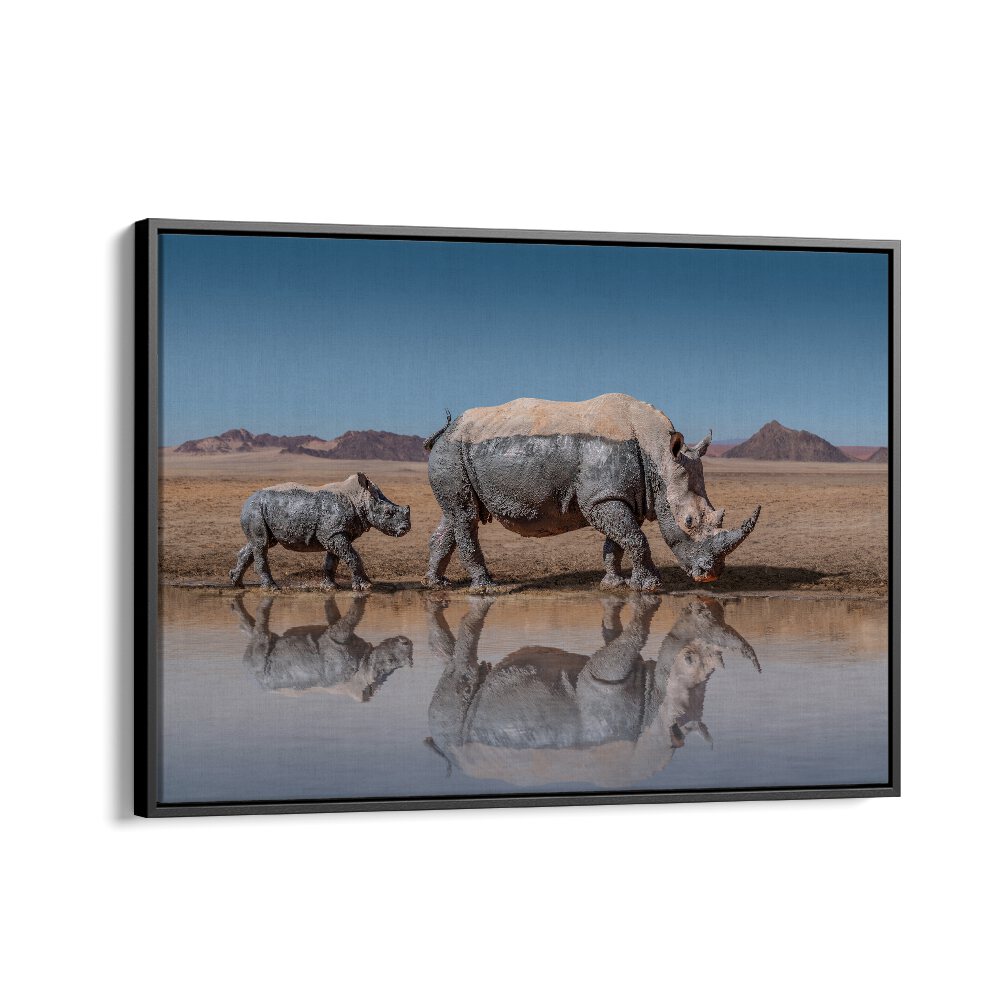 Mother and baby rhino walk near water in stunning wildlife shot from RHINOS WALK, PHOTOGRAPHY PRINTS collection.