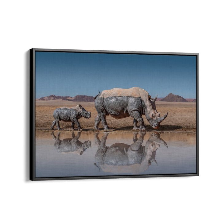 Mother and baby rhino walk near water in stunning wildlife shot from RHINOS WALK, PHOTOGRAPHY PRINTS collection.
