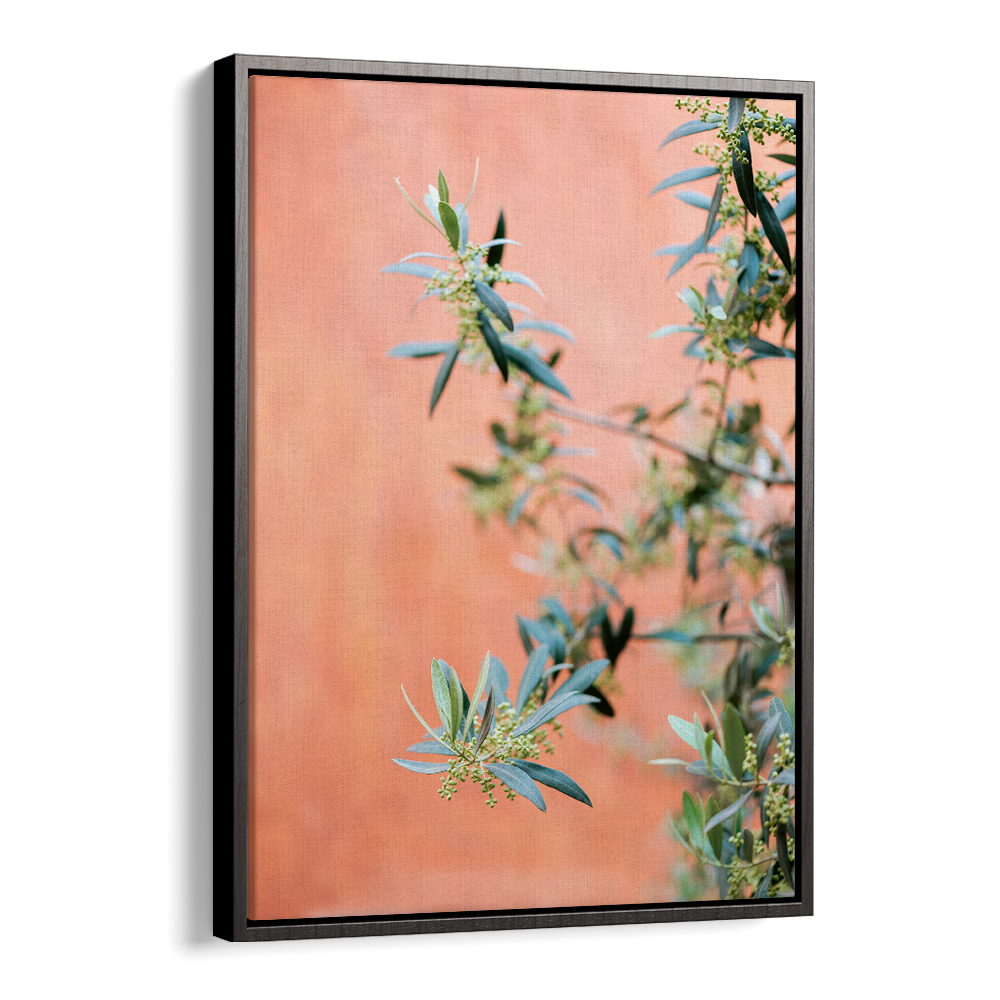 GREEN AND CORAL , PHOTOGRAPHY PRINTS