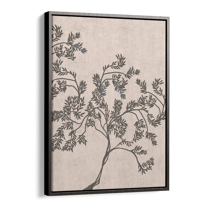 ACACIA NILOTICA , FLORAL FLOWER PAINTINGS