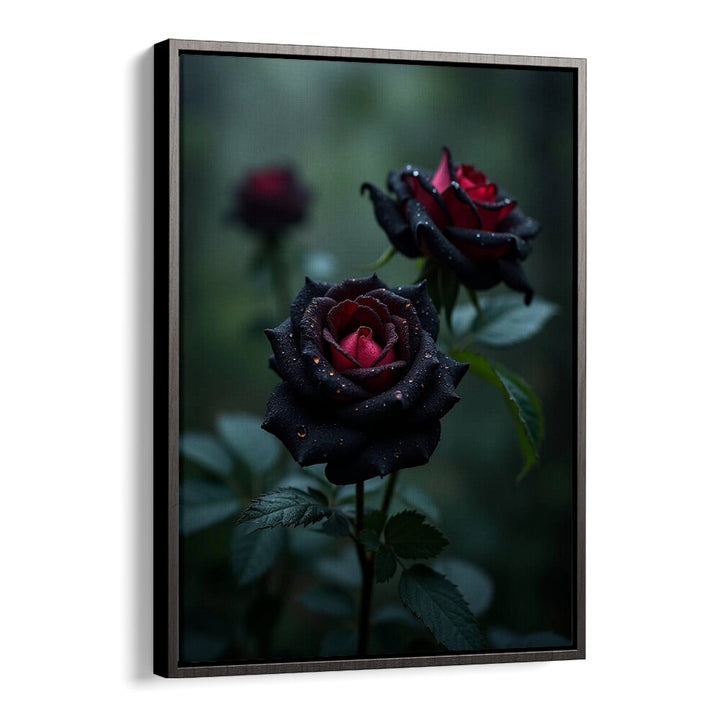 BLACK ROSES