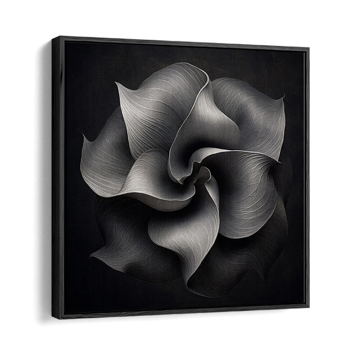 BLACK AND WHITE FLOWER V , ORGANIC FORMS