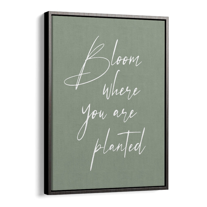 BLOOM , QUOTES & TYPOGRAPHY POSTERS